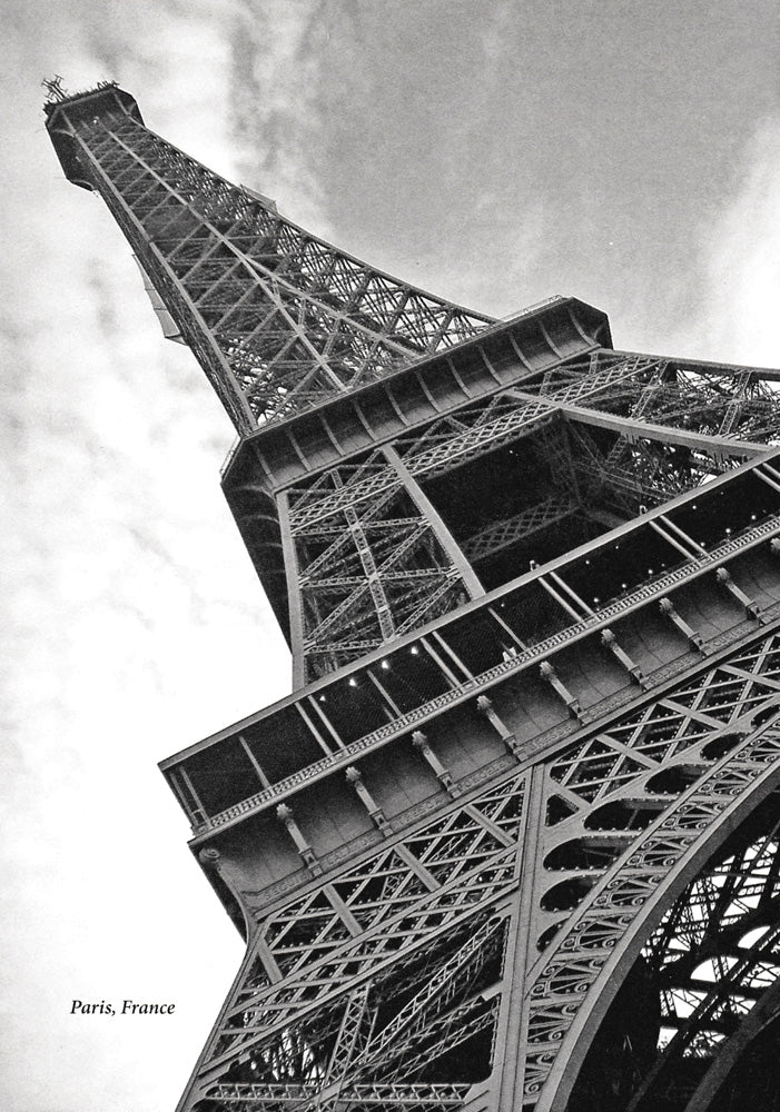 La France en danger et les secrets de Picasso - Level 1 - French Reader by Mira Canion
