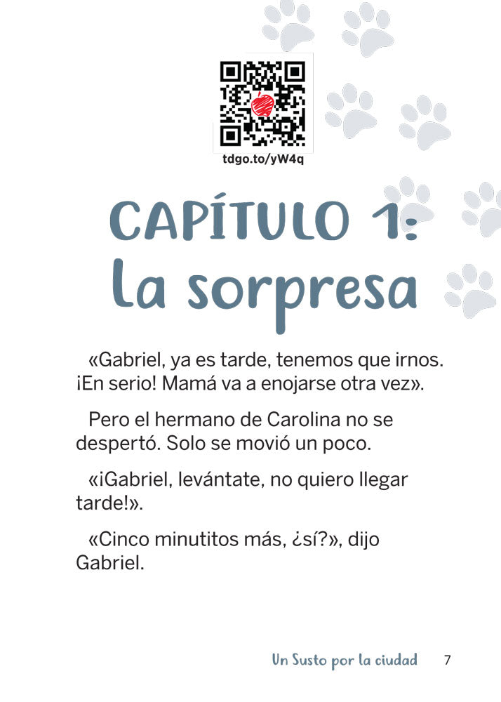 Un Susto por la ciudad - Level 2 - Spanish Acquisition™ Reader by Daniel Andrade