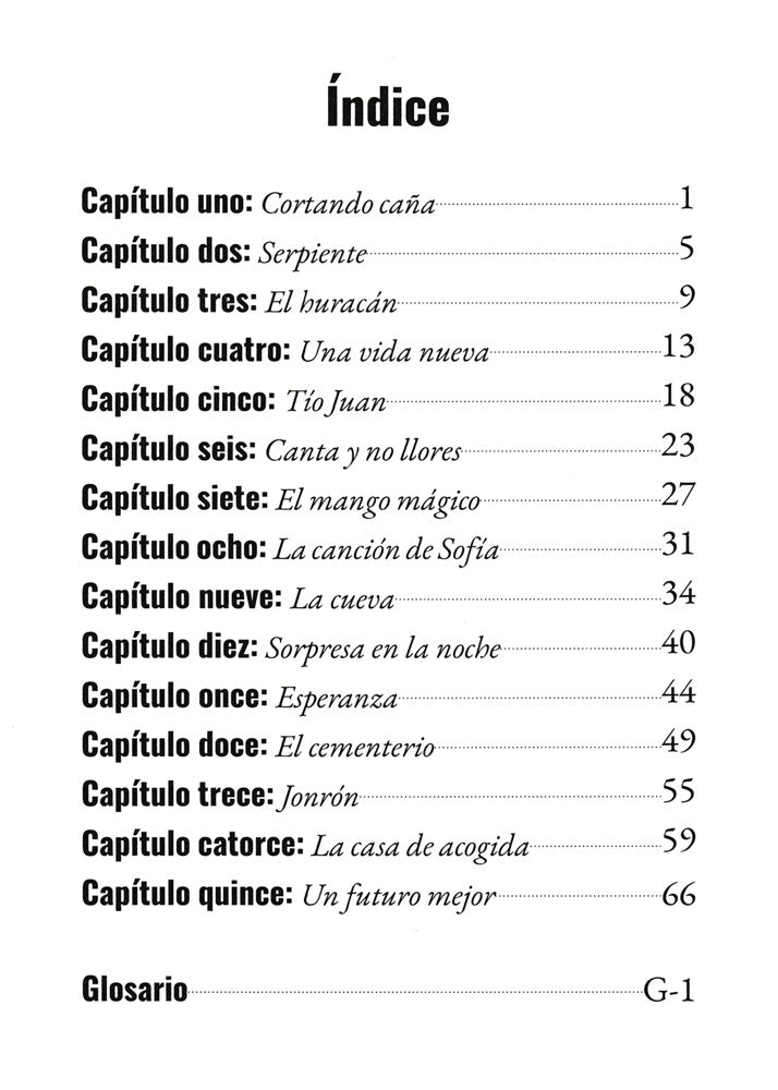 Niños en la calle - Level 2 - Spanish Reader by Chris Mercer
