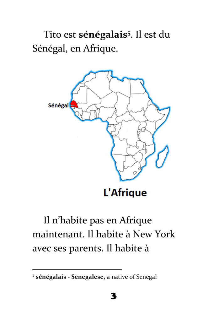 Les chaussettes de Tito - Level 1 - French Reader by Theresa Marrama