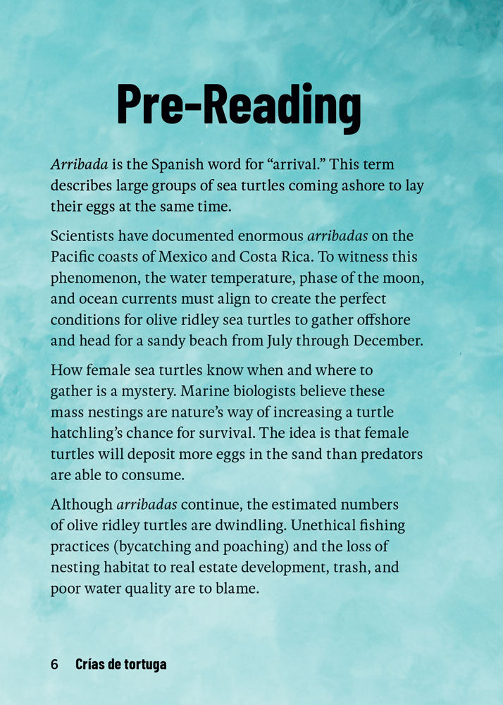 Crías de tortuga - Pre-Level 1 - Spanish Acquisition™ Reader by Carol Loria