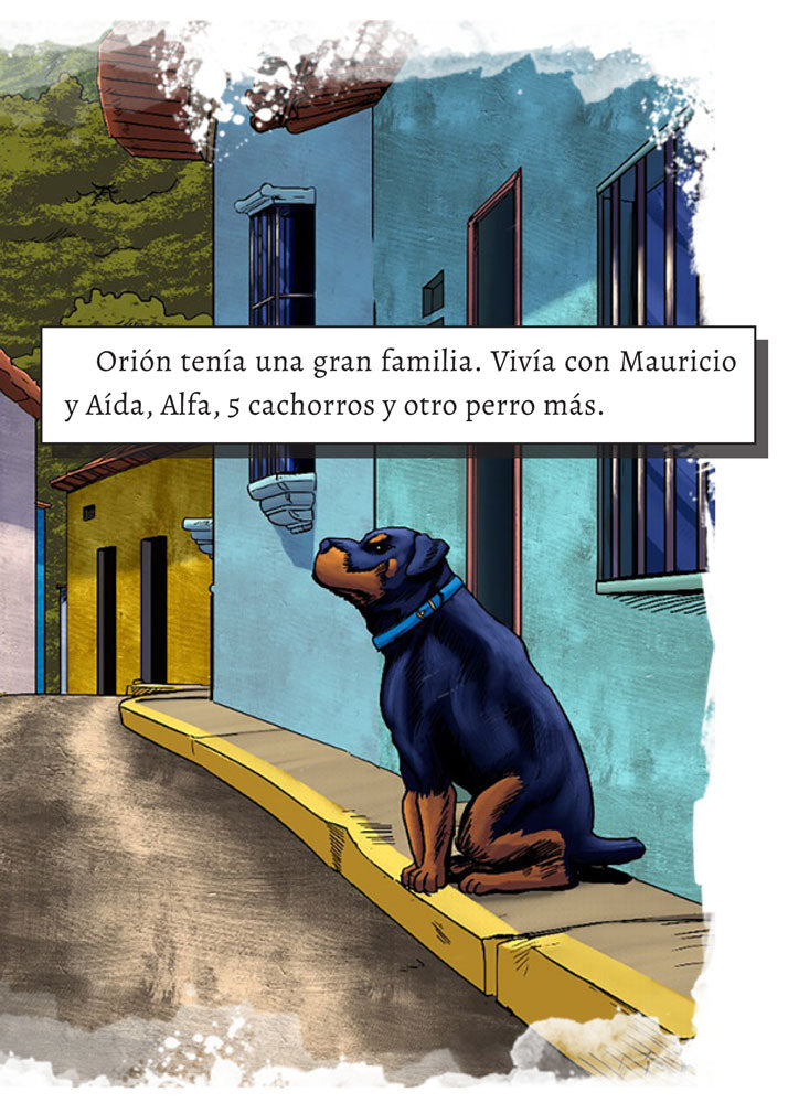 Orión - Level 1 - Spanish Reader by Margarita Pérez García