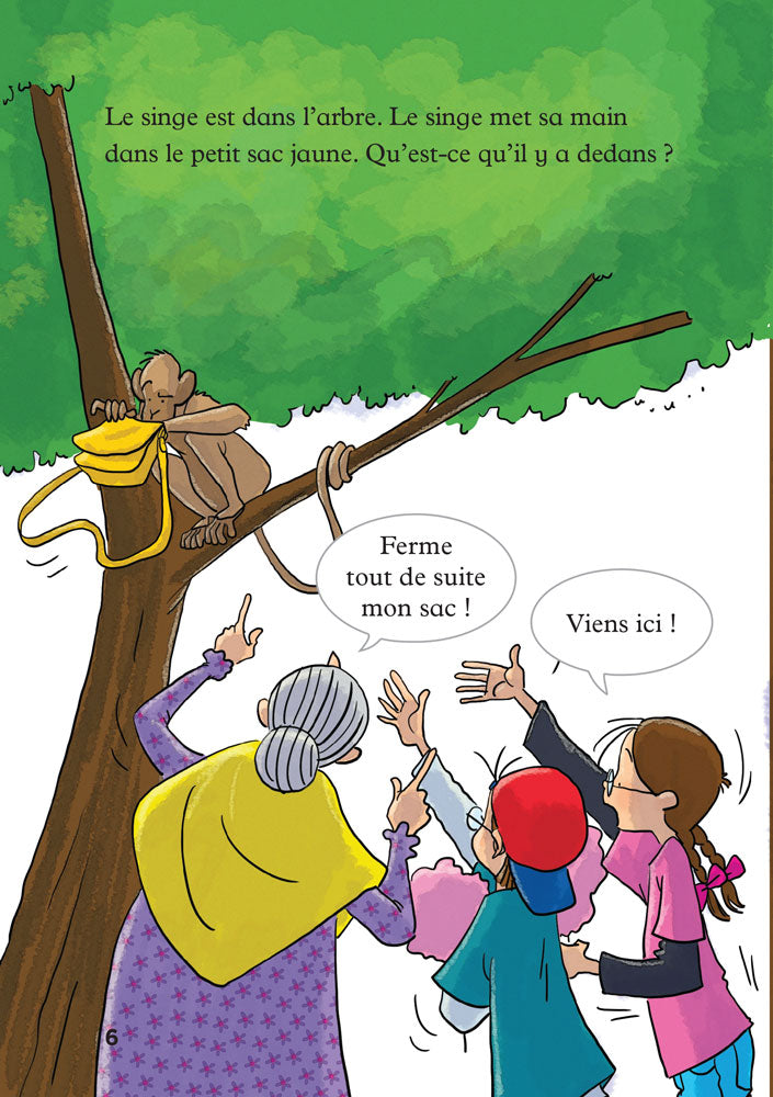 Mamie Pétronille et le singe - Level 1 - French Reader