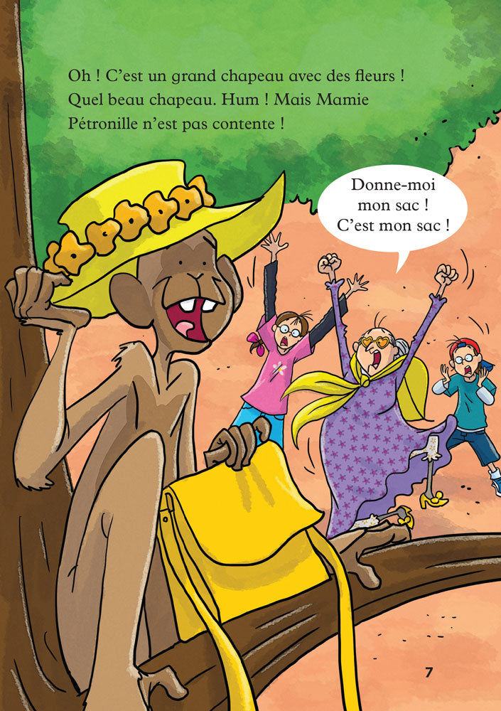 Mamie Pétronille et le singe - Level 1 - French Reader
