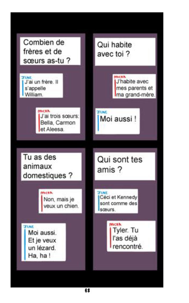 Changements - Level 3 - French Graphic Noven by Jennifer Degenhardt