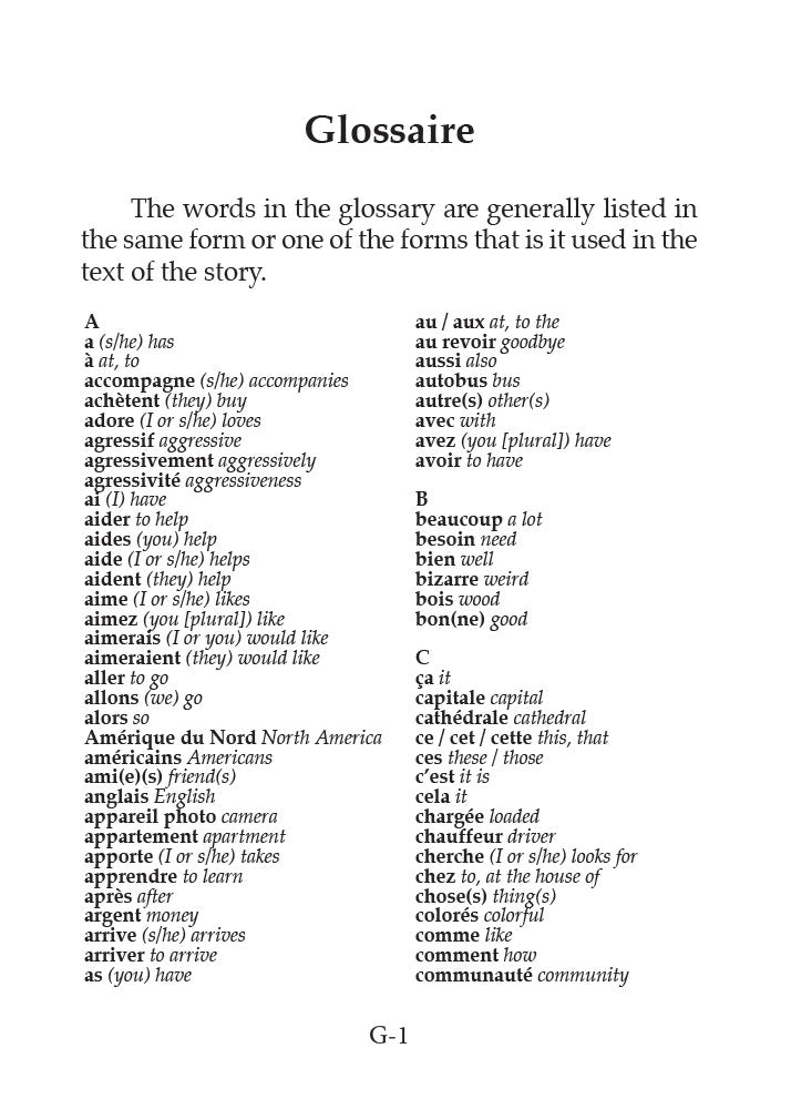 Pauvre petite Anne - Level 2 - French Reader by Shelli Thompson