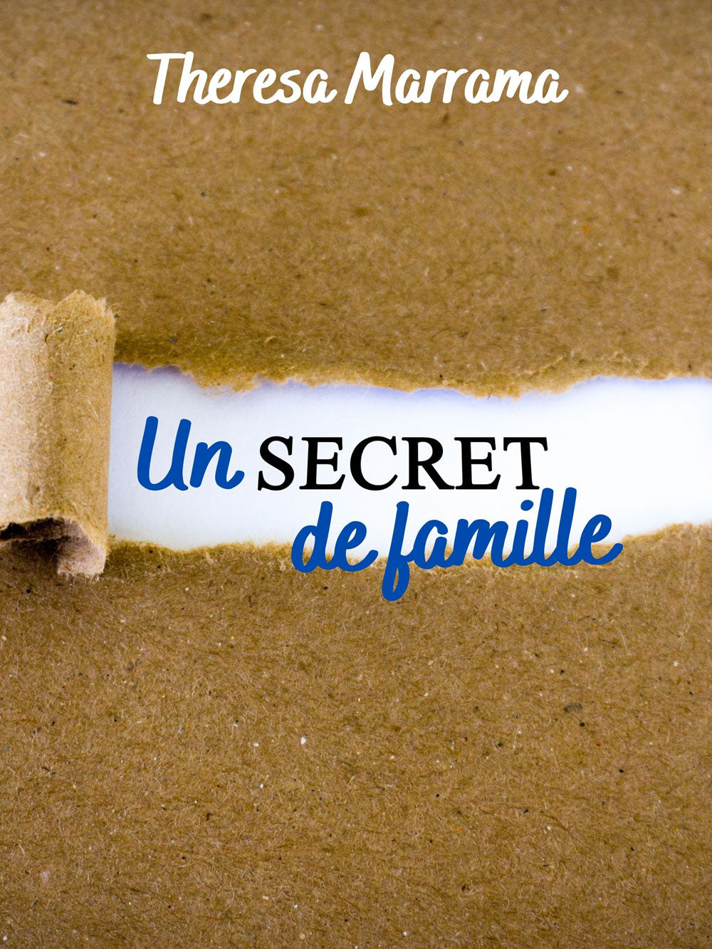 Un secret de famille - Level 3 - French Reader by Theresa Marrama