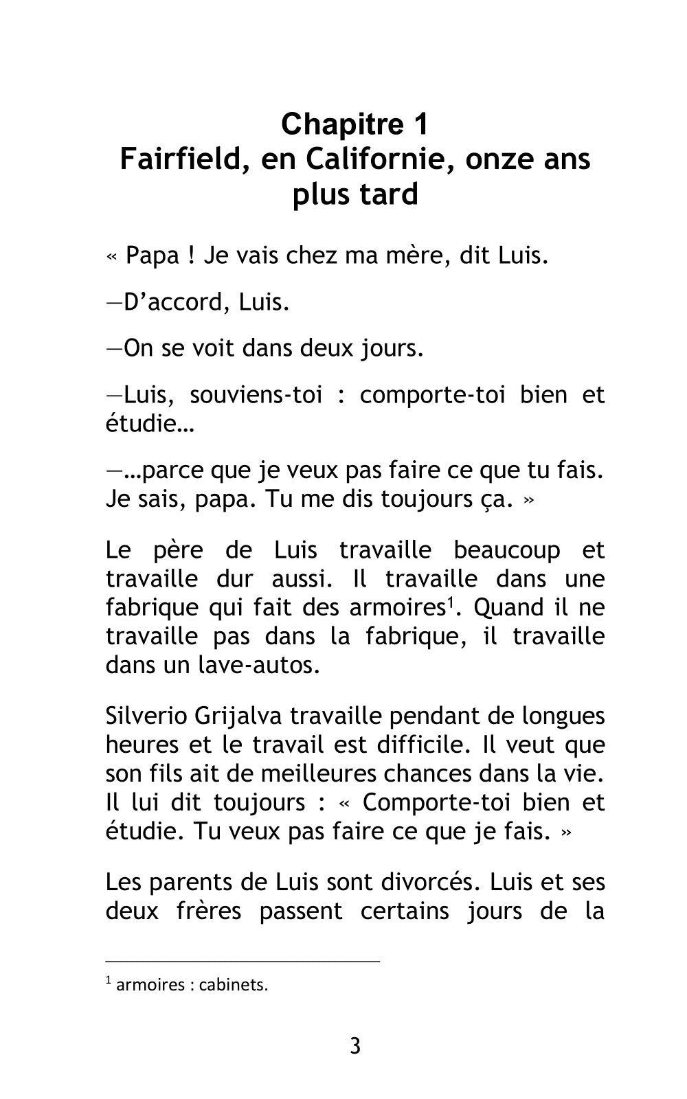 Le rêve de Luis - Level 2 - French Reader by Jennifer Degenhardt