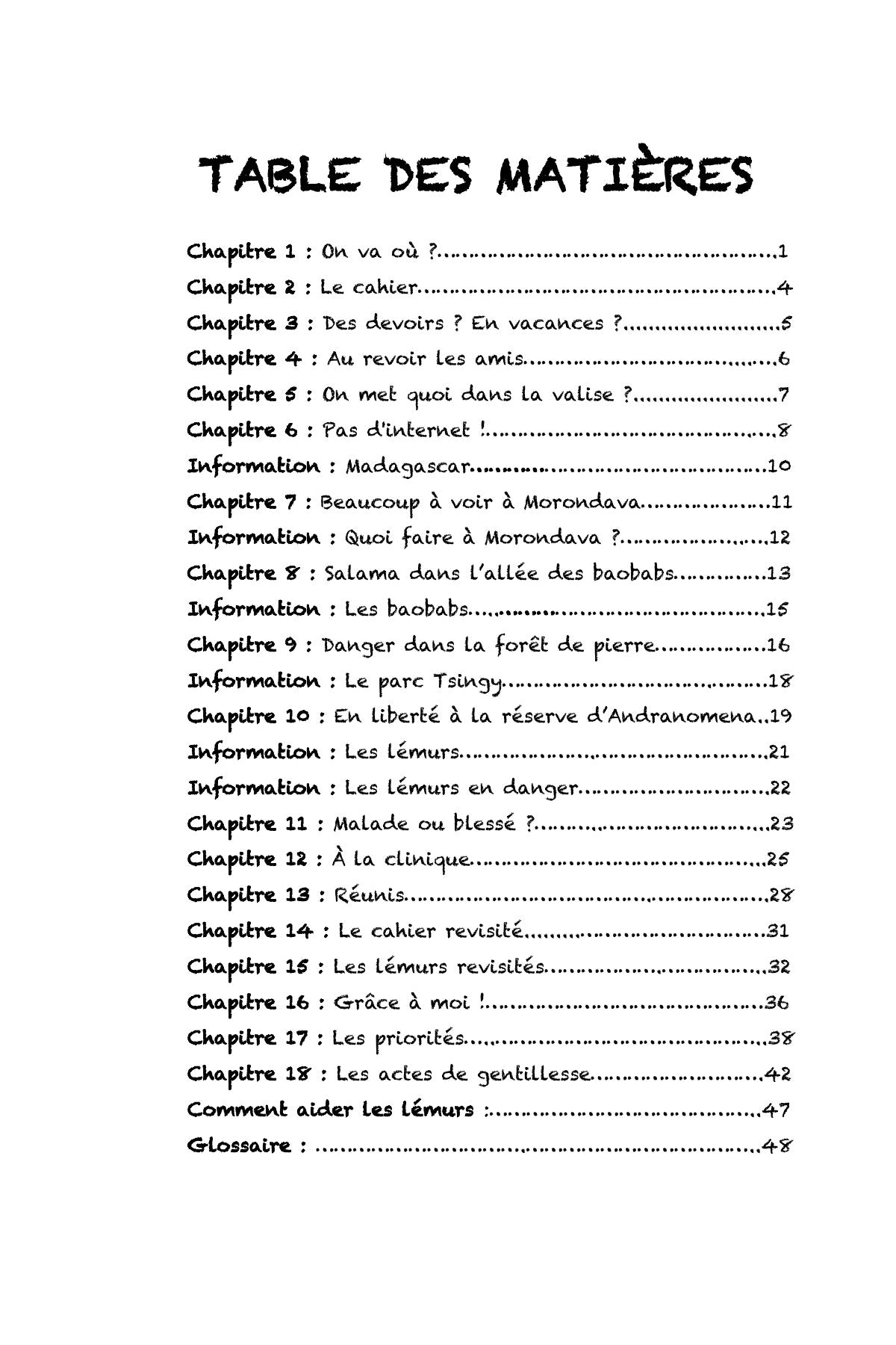 Grâce à Madagascar - Level 1 - French Graphic Novel by Theresa Marrama