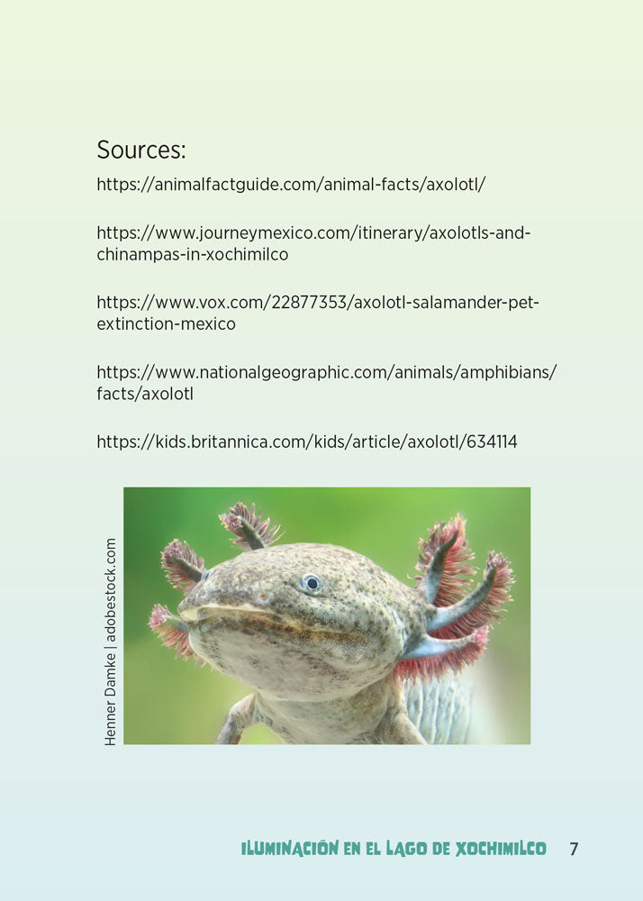 Iluminación en el lago de Xochimilco - Level 2 - Spanish Acquisition Reader by Carrie McLaren & Courtney Arthur