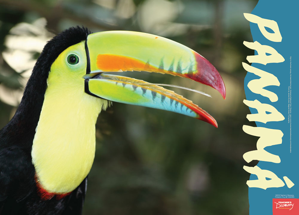 Travel to Panama, Toucan - Spanish - Poster