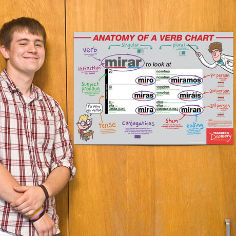 Anatomy of a Verb Chart - Spanish - Poster