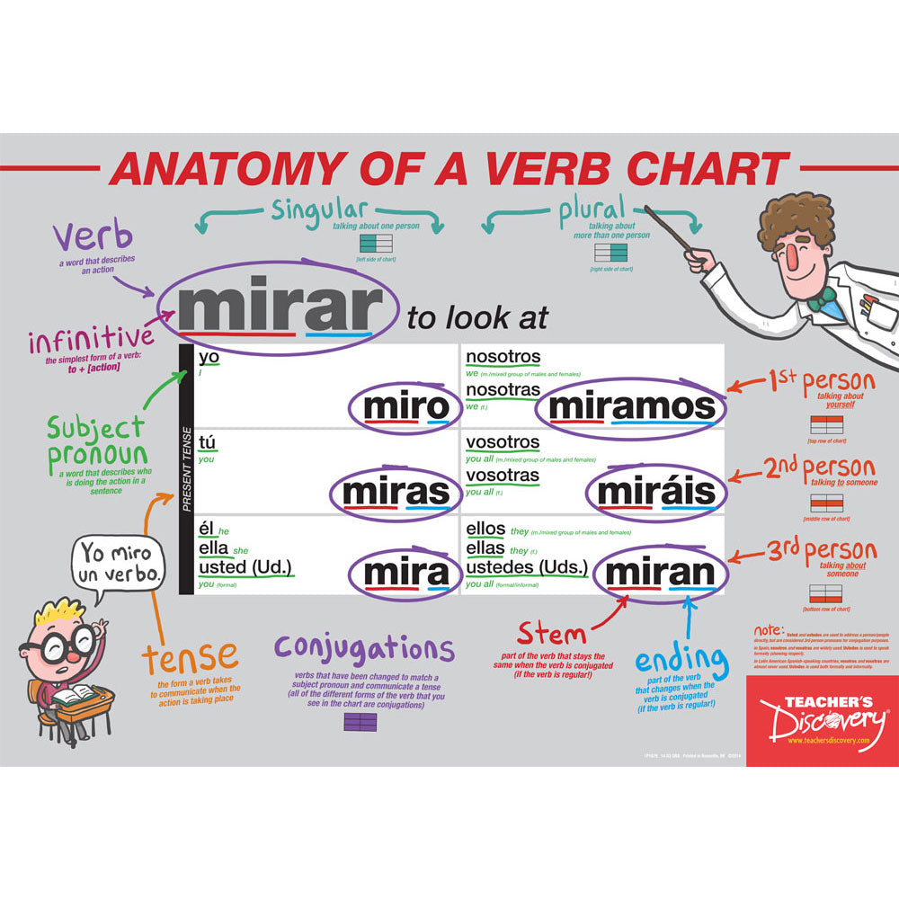 Anatomy of a Verb Chart - Spanish - Poster