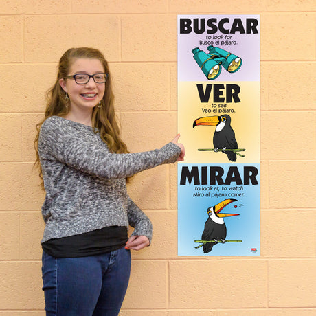 Vexing Verbs Buscar, Ver, and Mirar - Spanish - Skinny Poster