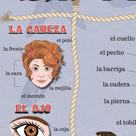 Body Parts - Spanish - Poster
