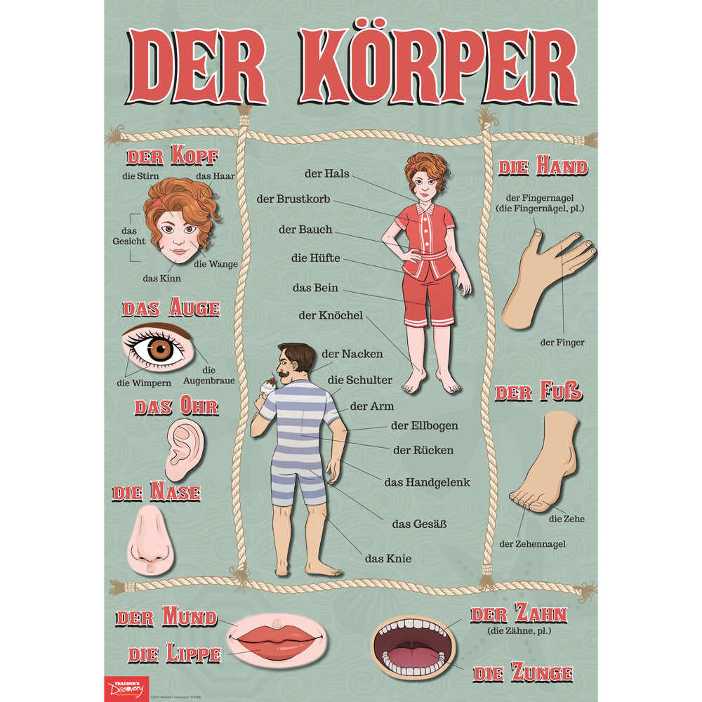 Body Parts - German - Poster