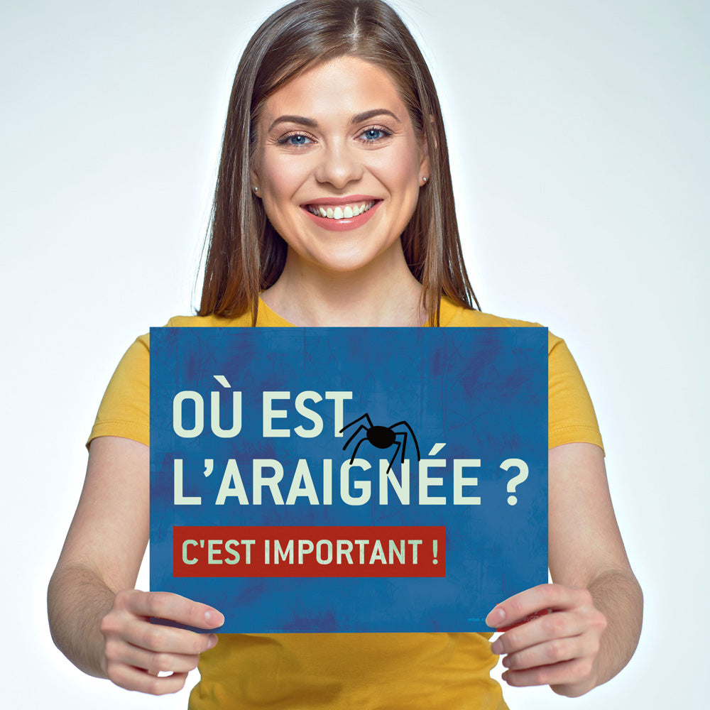 Where Is the Spider? Directions - French - Signs - Set of 17