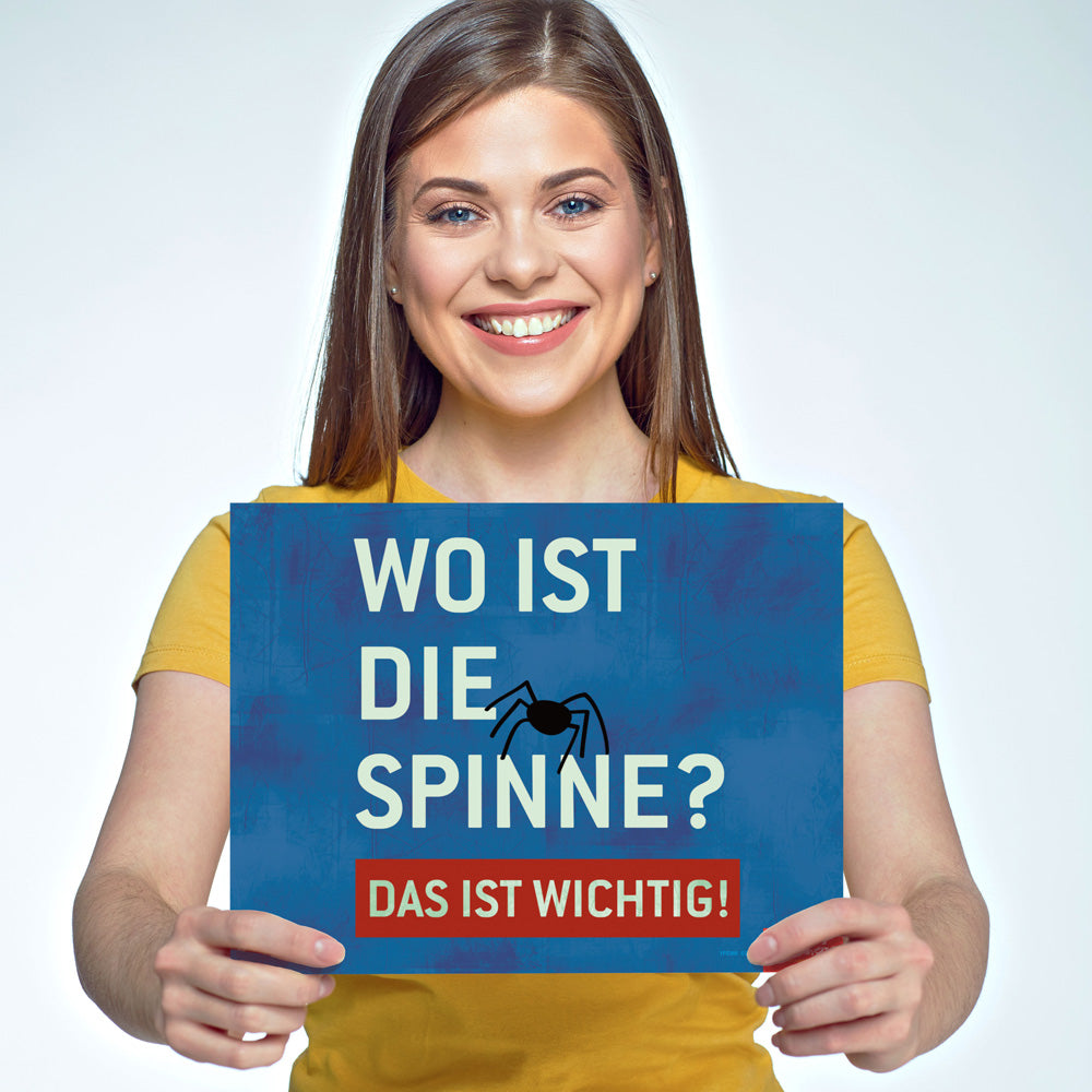 Where Is the Spider? Directions - German - Signs - Set of 17