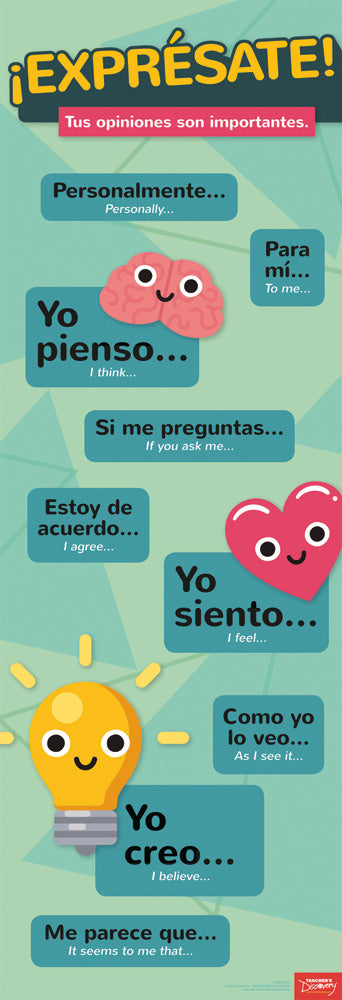 Expressing Opinions - Spanish - Skinny Poster