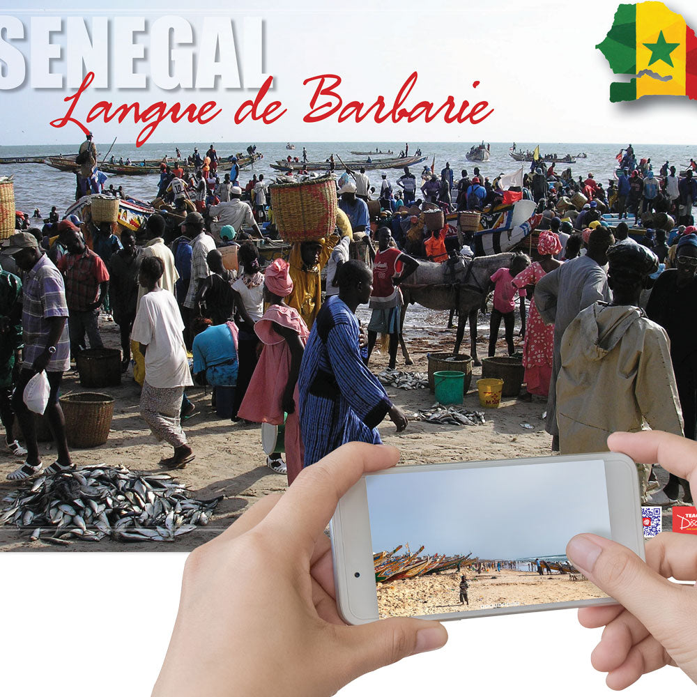 Travel to Langue de Barbarie, Senegal Enhanced® - French - Poster