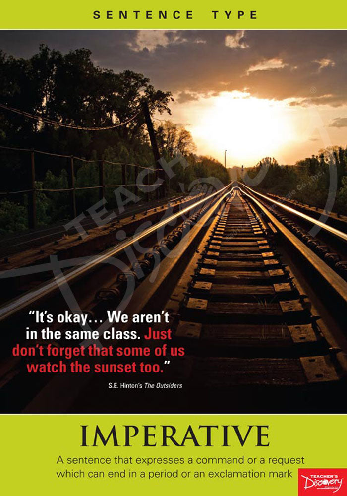 Sentence Type Literature Posters - Set of 4