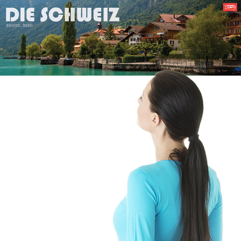 Switzerland Panoramic - German - Skinny Poster