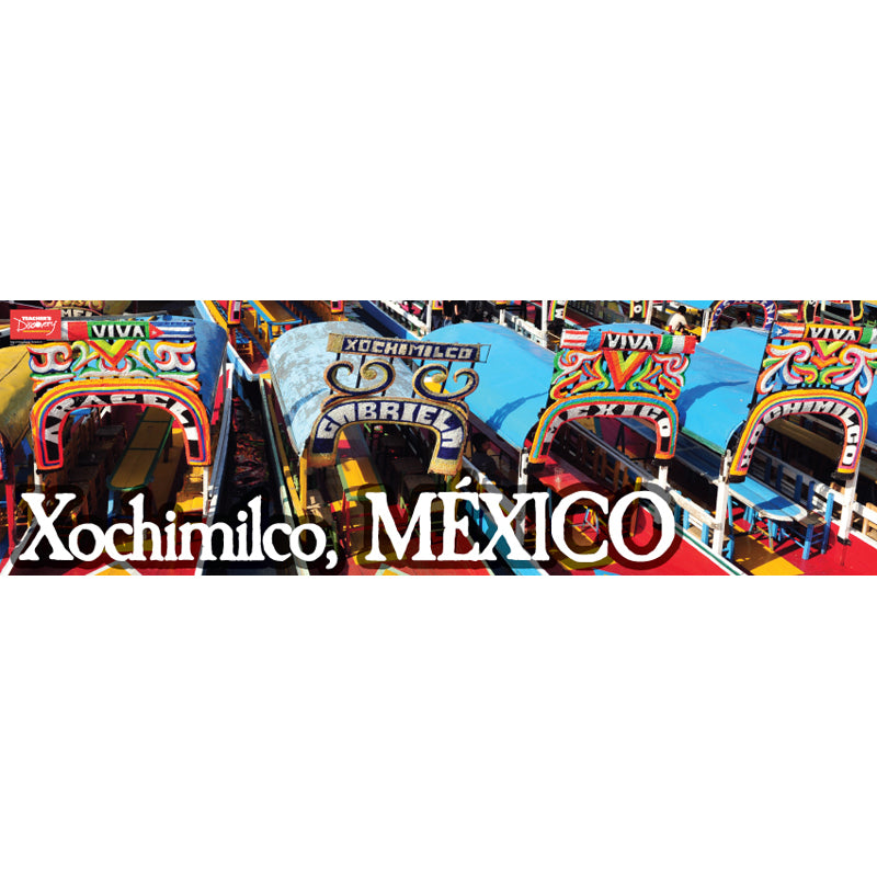Xochimilco Panoramic - Spanish - Skinny Poster