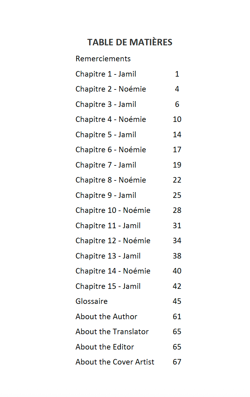 C’était un voyage difficile - Level 2 - French Reader by Jennifer Degenhardt