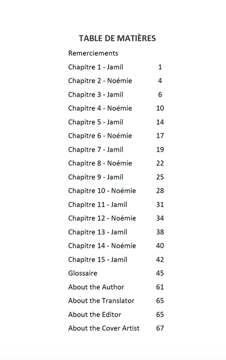 C’était un voyage difficile - Level 2 - French Reader by Jennifer Degenhardt
