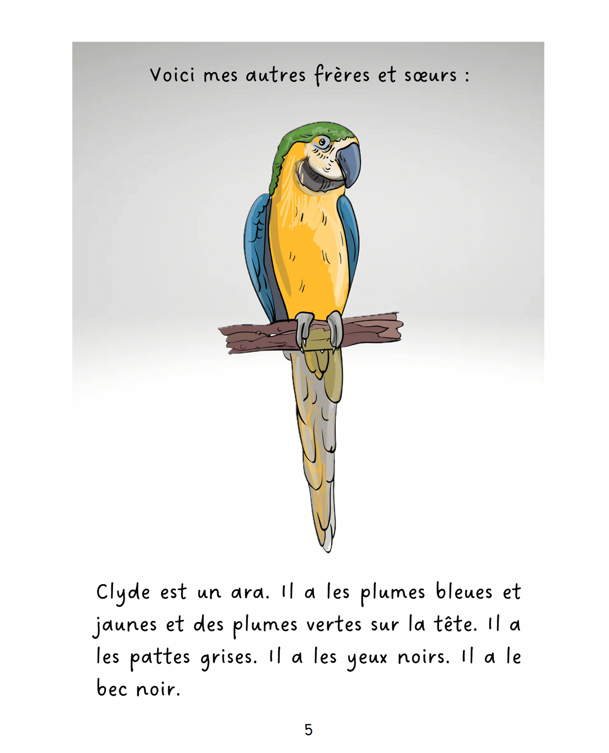 Vern et ses amis - Level 1 - French Reader by Jennifer Degenhardt & Theresa Marrama