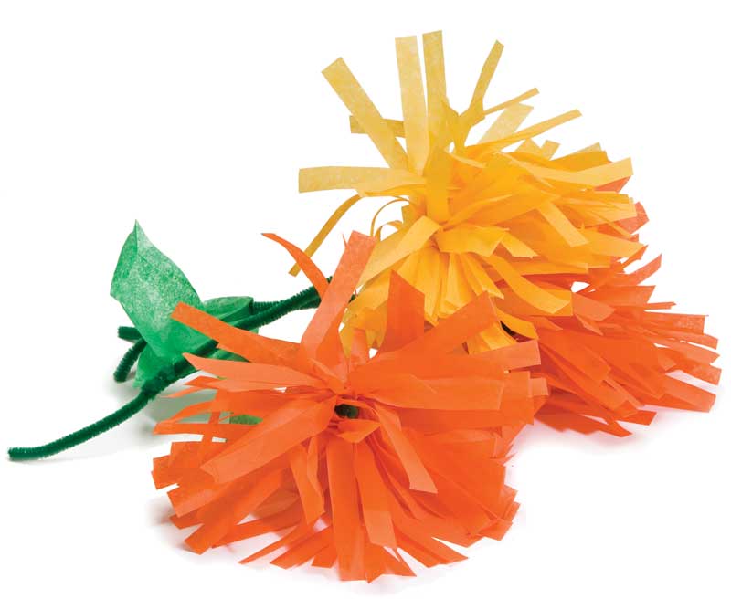 Marigold Flower Spanish Kit