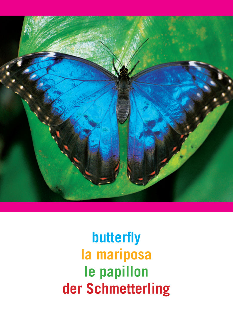 What's on My Head?™ Vocabulary Game