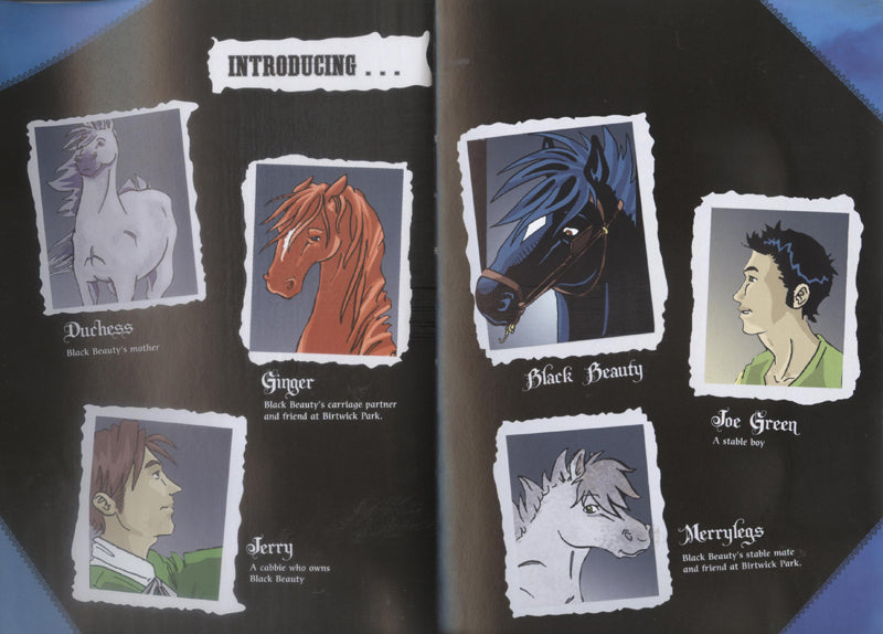 Black Beauty Graphic Novel