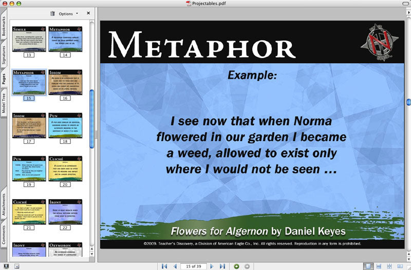 Figurative Language Terms Review and Practice Teacher's Edition Download