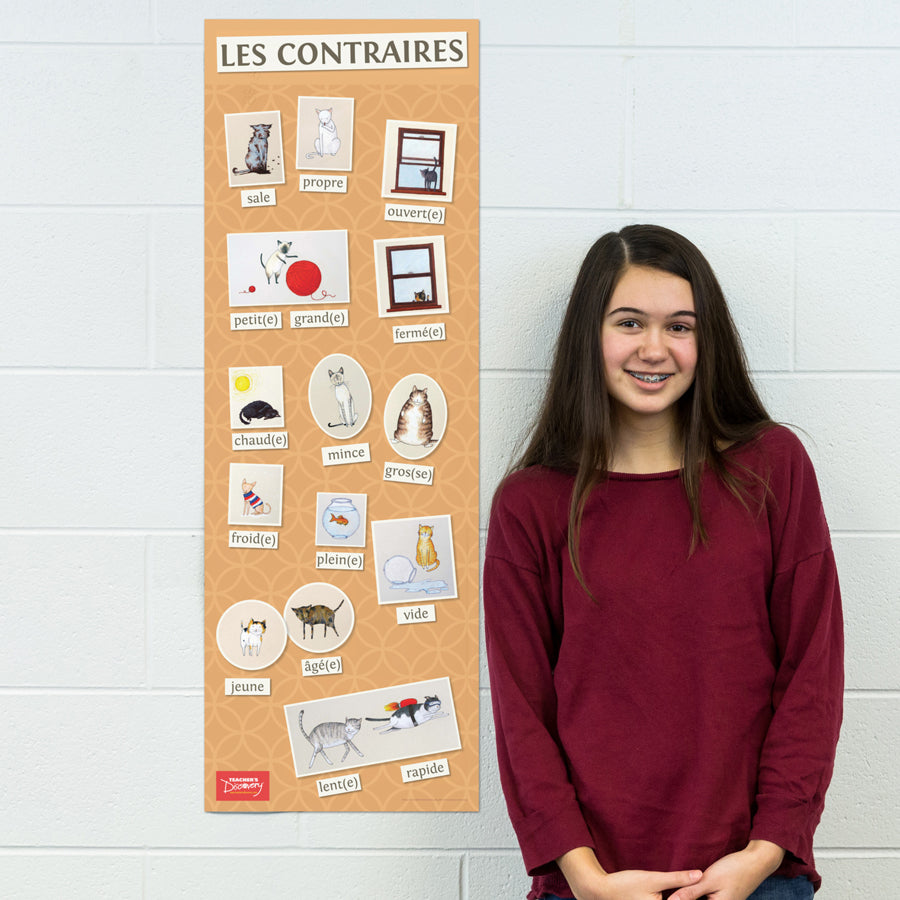 Opposite Cats - French - Skinny Poster