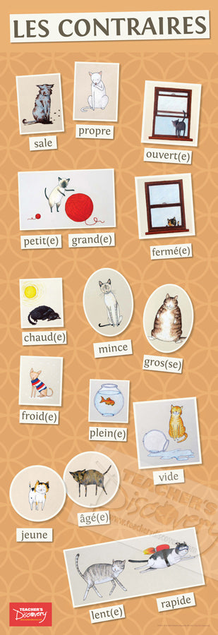 Opposite Cats - French - Skinny Poster