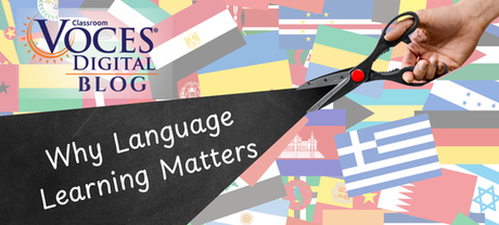 Why Language Learning Matters