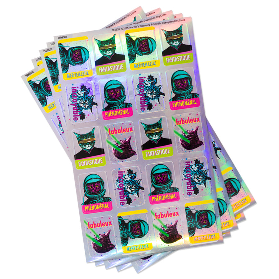 Space Cats French Stickers (100)