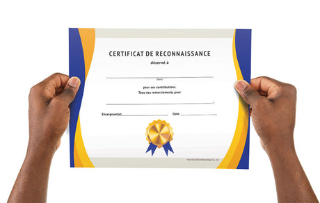 French Appreciation Certificates Set of 15