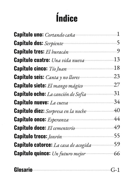 Niños en la calle - Level 2 - Spanish Reader by Chris Mercer