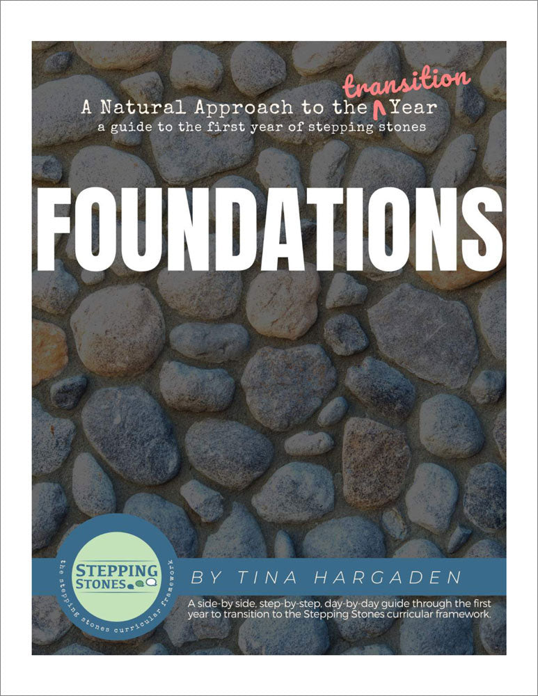 Foundations: A Natural Approach to the Transition Year Book