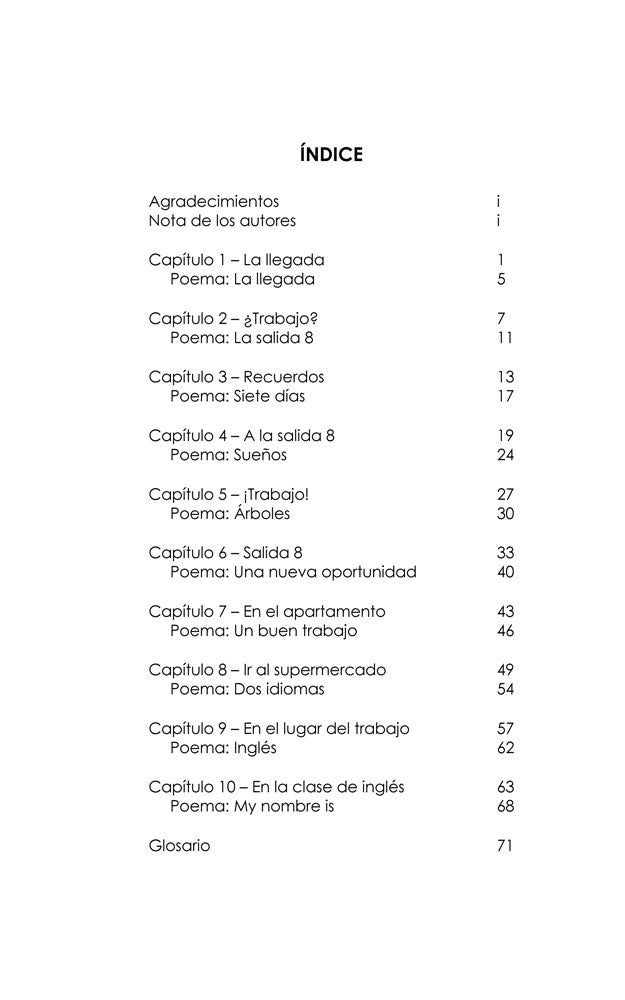 Salida 8 Spanish Level 1 Reader