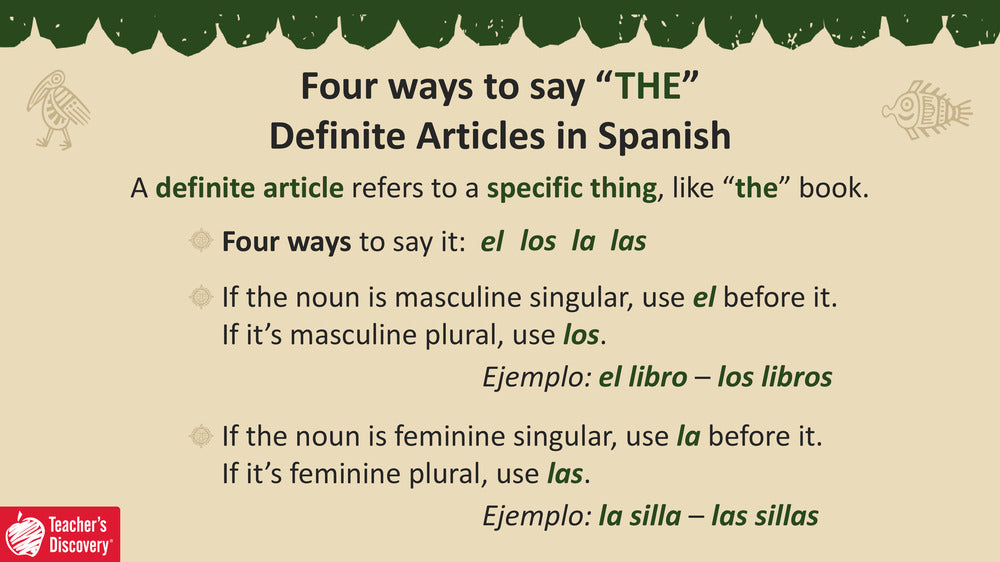 Quick Spanish Grammar Presentation – Gender of Nouns