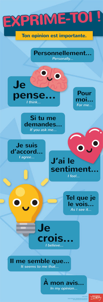 Expressing Opinions French Skinny Poster