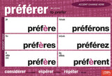 Spelling/Accent Change French Verbs Chart Set