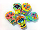 Day of the Dead Skull Magnet Kit