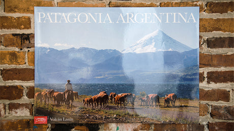 Volcán Lanín: Patagonia Argentina Spanish Travel Poster