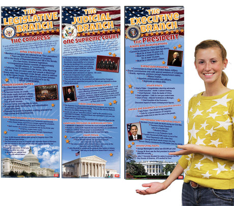 Branches of Government ~ Set of 3 Posters