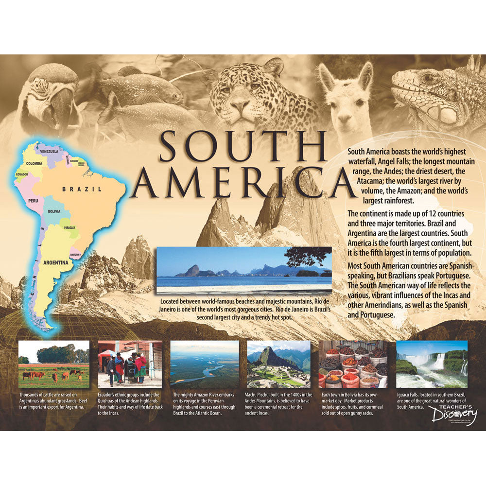 Seven Continents Poster Set