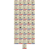 Presidential Timeline Banner